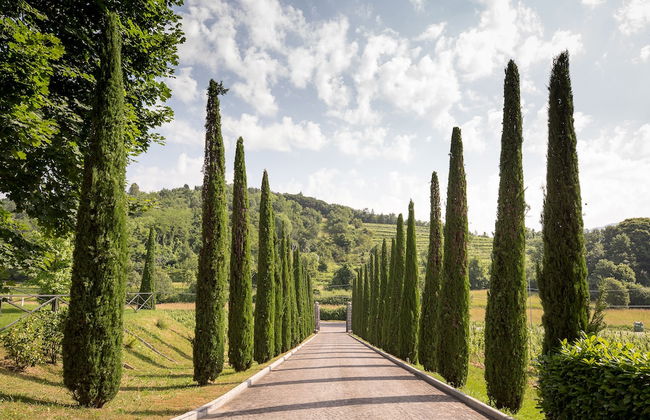 Il Roncal Wine Resort - Foto 35