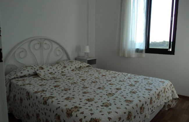 Site Soley - Foto 3