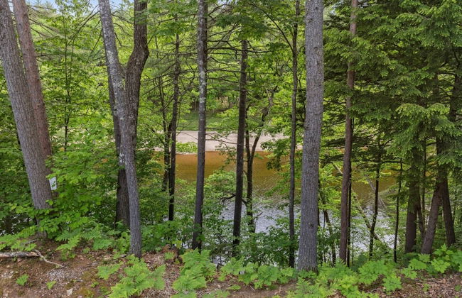 River View House - Foto 14