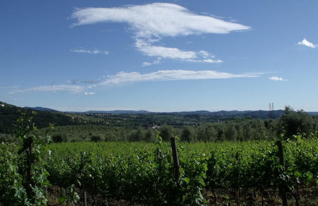 Il Viaio - Foto 34