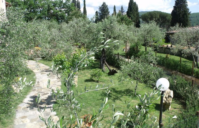 Il Viaio - Foto 37