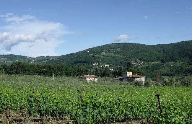 Il Viaio - Foto 38