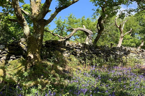 Photo 33 - Cottage Dinorwig, get Away From it all