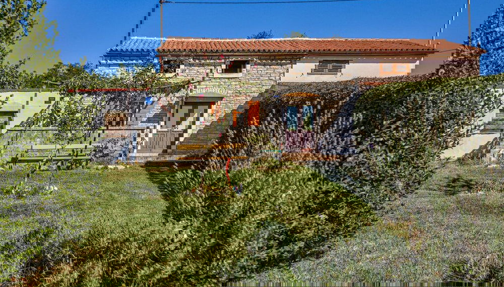 Primary image