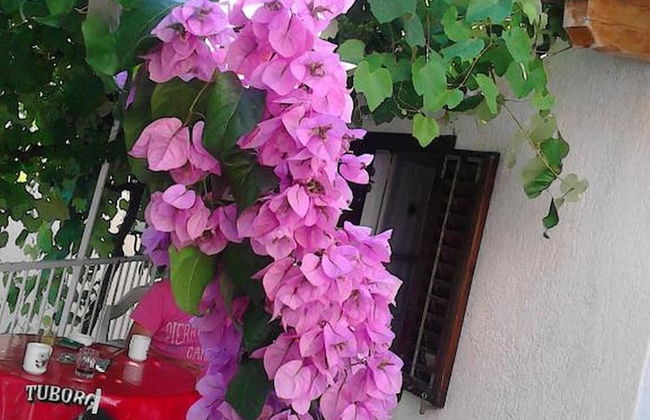 Zora Holiday Home - Foto 18