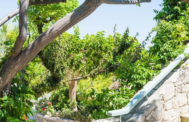 Palaeopoli Villas - Foto 50