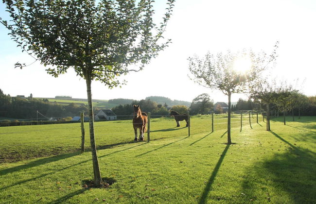 Elegant Estate Stay, Maredsous - Foto 29