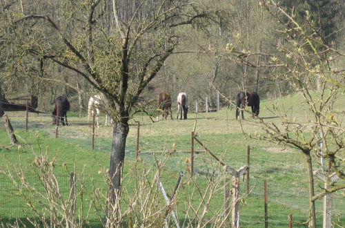 Foto 39 - Charming Cottage in a Farm With Views