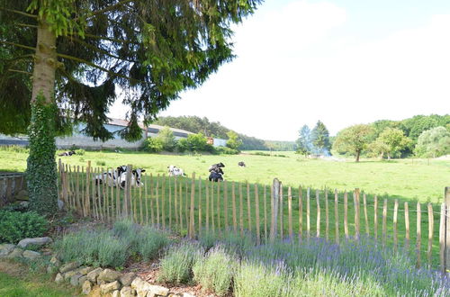 Photo 36 - Charming Cottage in a Farm With Views