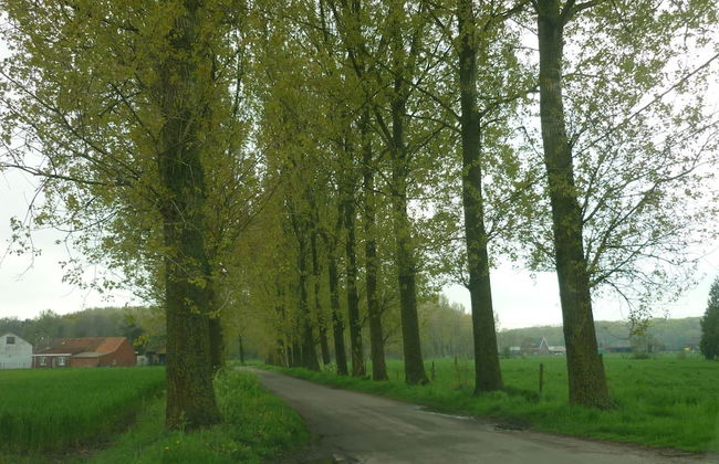 Quiet Cottage near Woods - Foto 35