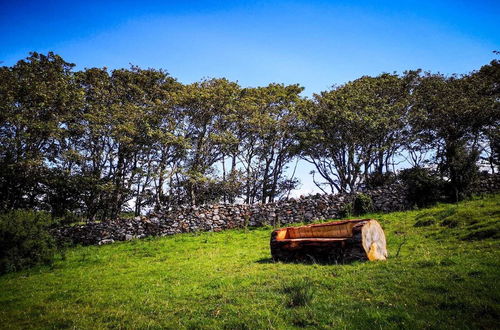 Photo 17 - The Snuggly Sheep Shepherd Hut Campview Farm Stay