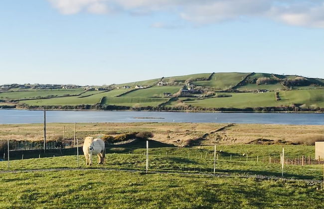 The Snuggly Sheep Shepherd Hut Campview Farm Stay - Foto 13