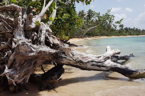 Photo 7 - Las Terrenas Townhouse with Private Beach