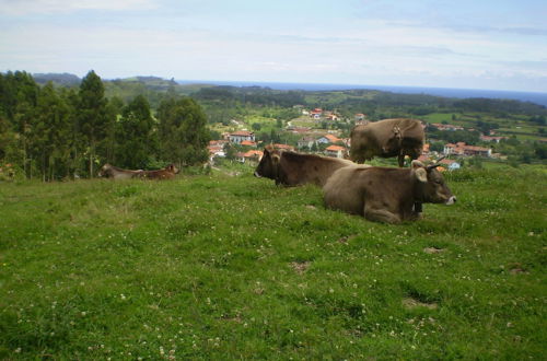 Foto 12 - Casa de Aldea Ruiloba