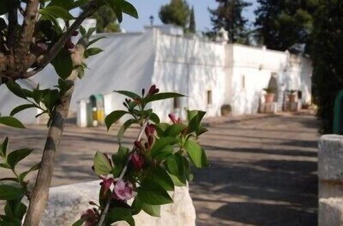 Photo 25 - Masseria Don Sante