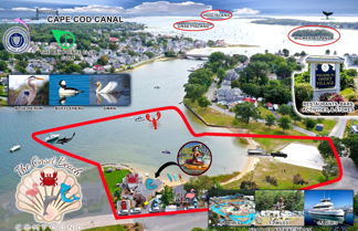 Photo 1 - The Onset Beach Compound-Cape Cod Beach Resort & Oceanic Habitat