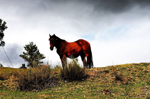 Photo 11 - Turisme Rural El Janpere