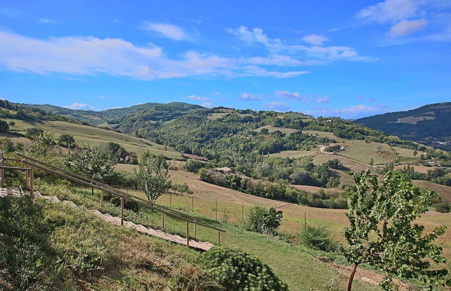 Tranquil Hilltop Cottage - Photo 37