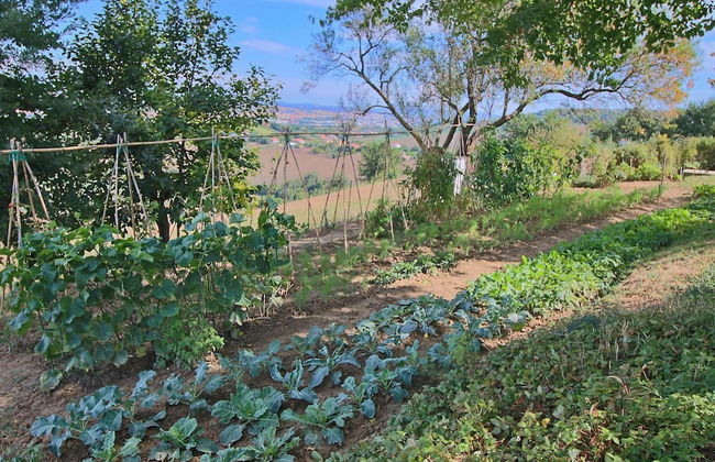 Tranquil Hilltop Cottage - Photo 31