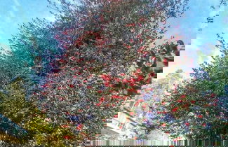 Photo 47 - Casa do Cribeiro