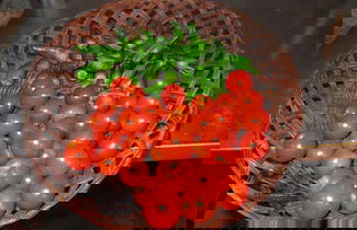 Photo 38 - Casa do Cribeiro