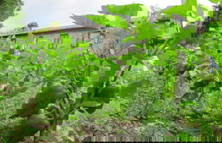 Photo 49 - Casa do Cribeiro