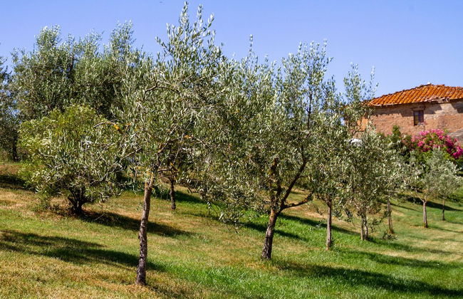 Agriturismo Due Ponti - Photo 38