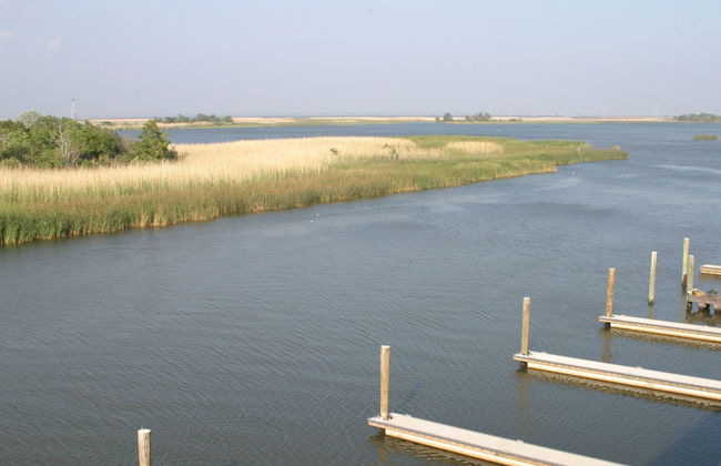 Water Street Hotel & Marina, an Ascend Collection Hotel - Foto 30