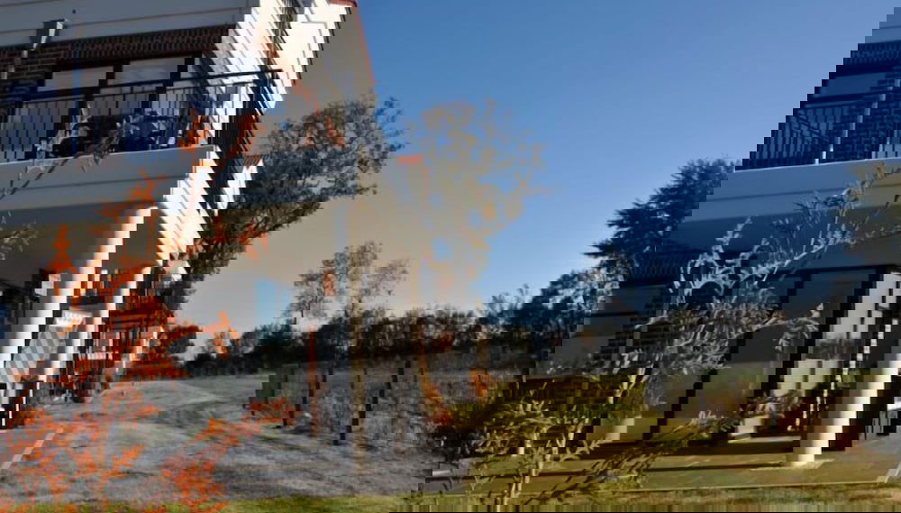 Imagem principal