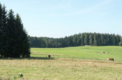 Foto 25 - Holiday Home Near the Klingenthal ski Resort