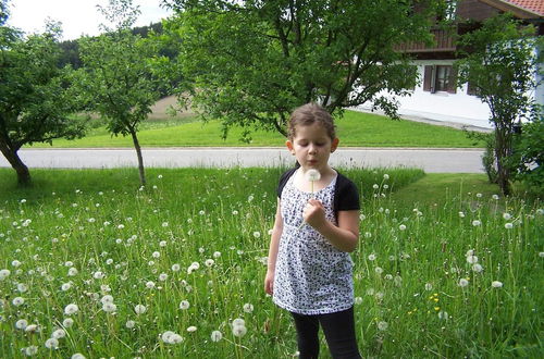 Photo 16 - Holiday Home in Rattersberg Bavaria With Terrace