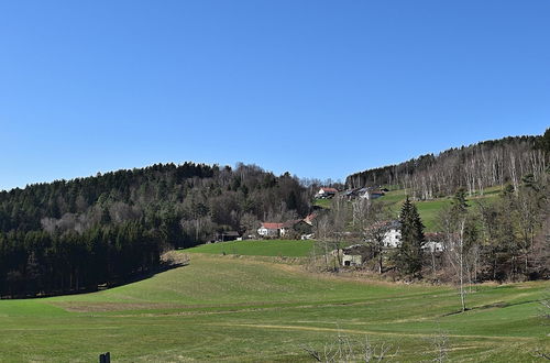 Foto 28 - Holiday Home in Rattersberg Bavaria With Terrace