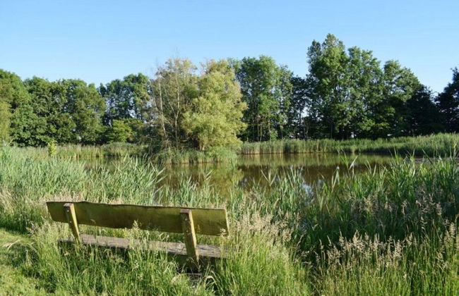 Reetdachhaus Bongsiel - Foto 56