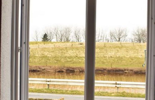 Reetdachhaus Bongsiel - Foto 42
