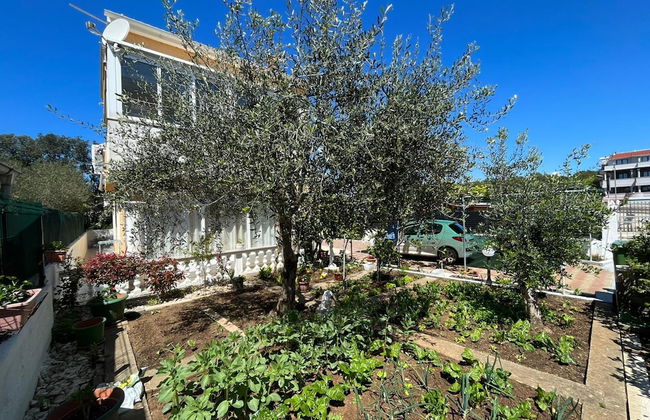 Apartments Kekic - Photo 45