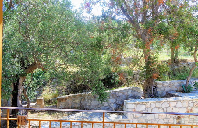 Menina Farm - Foto 58