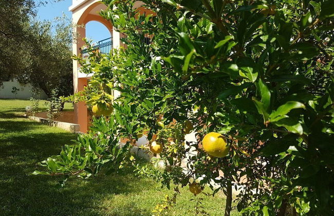 Aloni Hotel - Foto 23