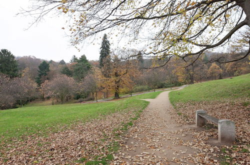 Photo 30 - Beautiful Apartment in Dornthal Near the Forest