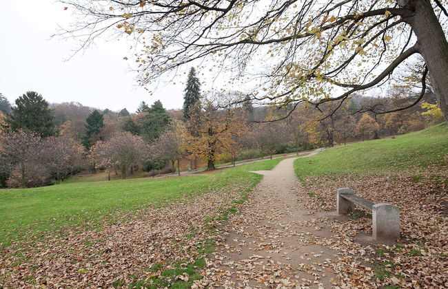 Tranquil Stay in Dornthal - Foto 41