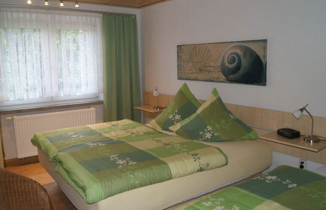 Ferienwohnungen Elsterblick - Foto 9