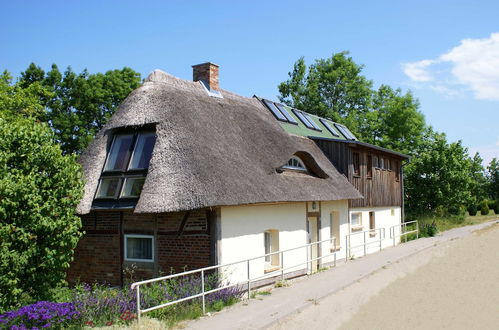 Foto 22 - Ostsee Ferienhaus Welzin - Altes Schäferhaus