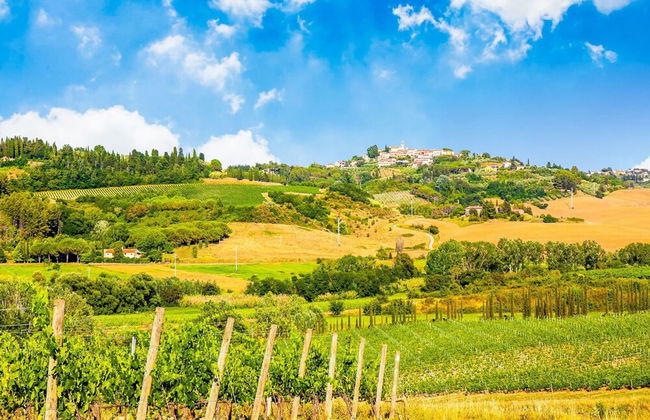 Rustic Farmhouse in Terricciola - Photo 33