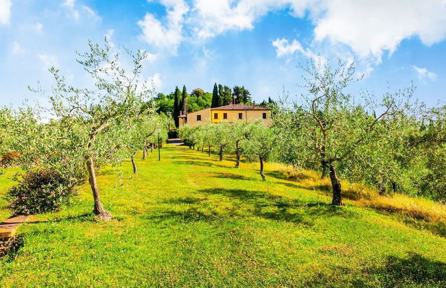Rustic Farmhouse in Terricciola - Photo 24
