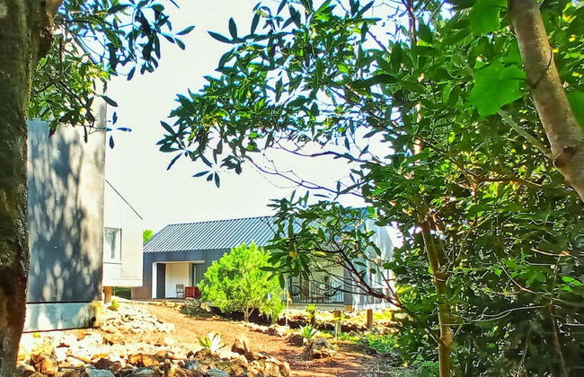 Casas do Morgadio - azorean wine & lodge - Foto 18