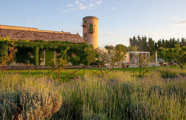 Naturalis Bio Resort & Spa - Foto 65