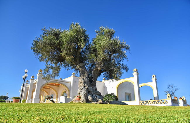 Masseria celidonia resort & relax - Foto 11