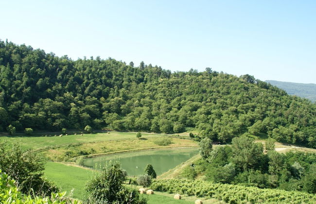Holiday Home in Dicomano - Foto 18