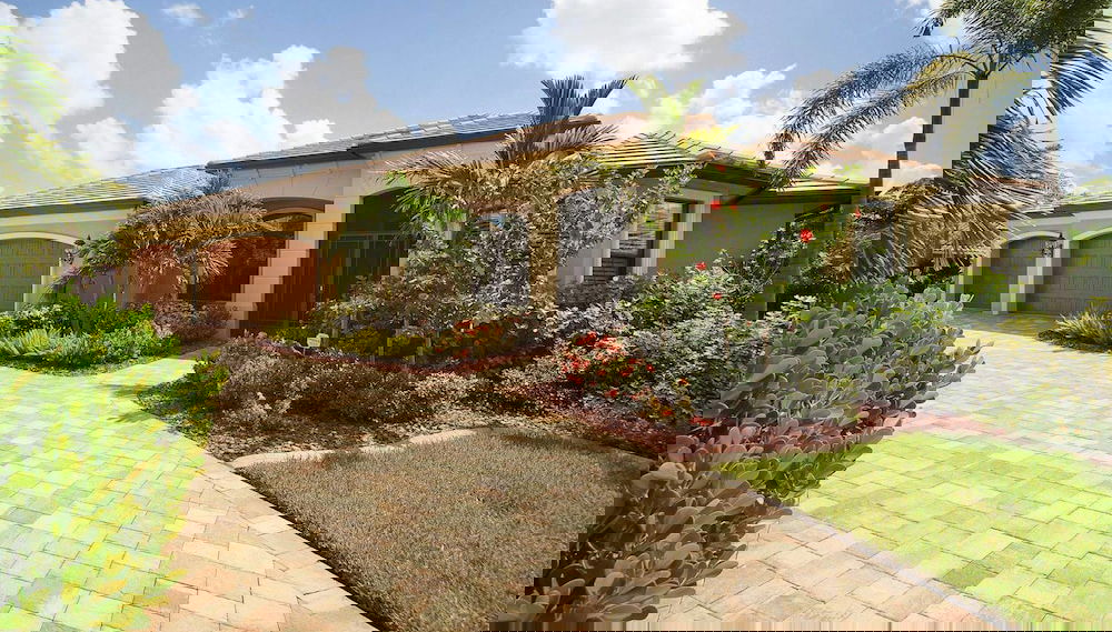 Primary image