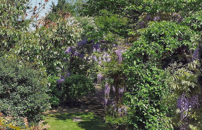 Wychwood Cottage - Foto 24