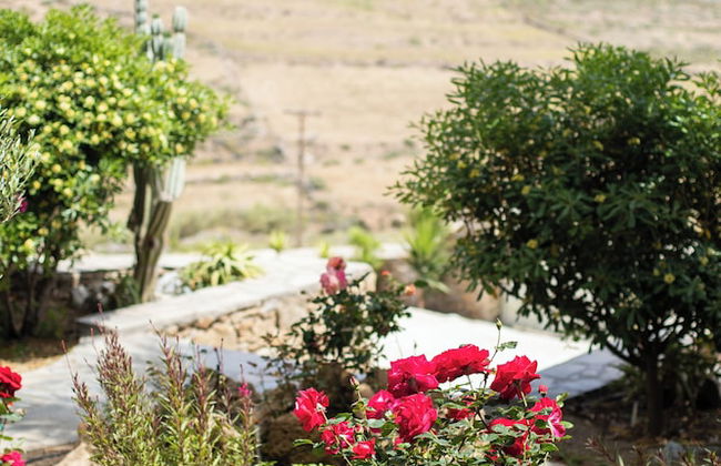 Levantes House Mykonos - Foto 36